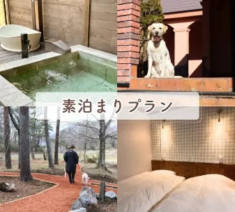 素泊まりプラン